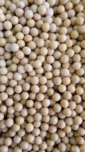 4GL-175型大豆割晒机 价格、品牌厂家与农副产品销售全解析