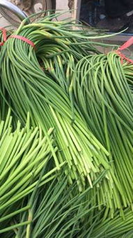 优质蒜薹低价热销，库存清仓抢购中！