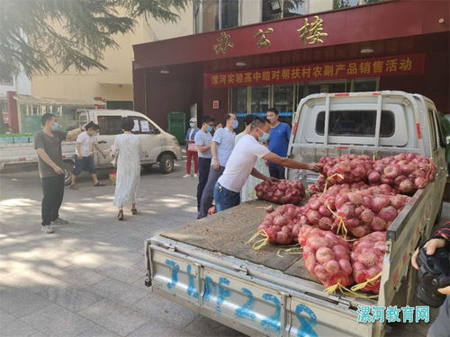 党建引领消费扶贫，助力脱贫攻坚——漯河实验高中开展结对帮扶村农副产品销售活动