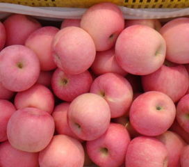 山东农副产品销售中心 在线留言，开启绿色消费新通道