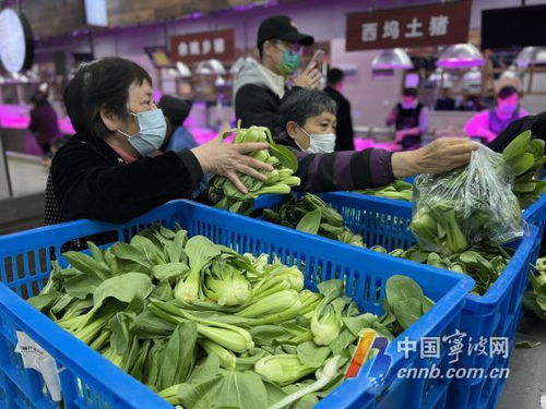 宁波五菜场设平价专供点 小青菜5元/公斤惠民销售