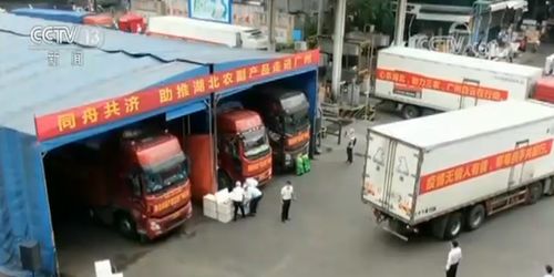 多措并举拓销路，湖北农副产品产销两旺谱新篇