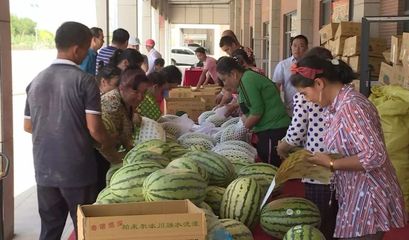 白云人组团采购逾1.5万个新疆西瓜，爱心接力解滞销燃眉之急