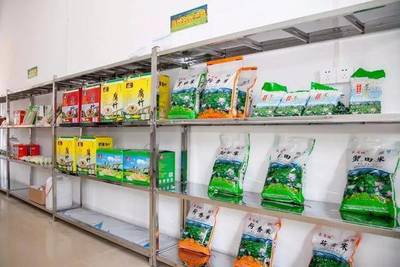 云浮罗平围头村 电商携手乡村游，赋能农产品流通新篇章