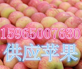 莒县傲翔农副产品购销处 探索海量高清图片库，展现农副产品的天然魅力