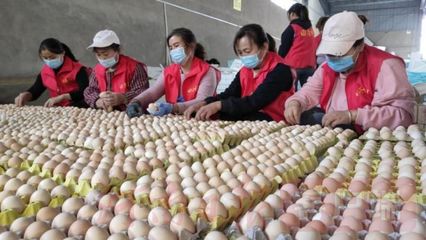 搭乘'电商号'，尉氏农副产品驶向乡村振兴'站台'