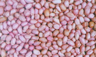 湖北花生产业链 从种植到销售的全方位解析